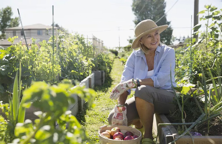 12種糟糕的菜園害蟲(chóng)-不使用化學(xué)藥品即可收回您的花園（一）
