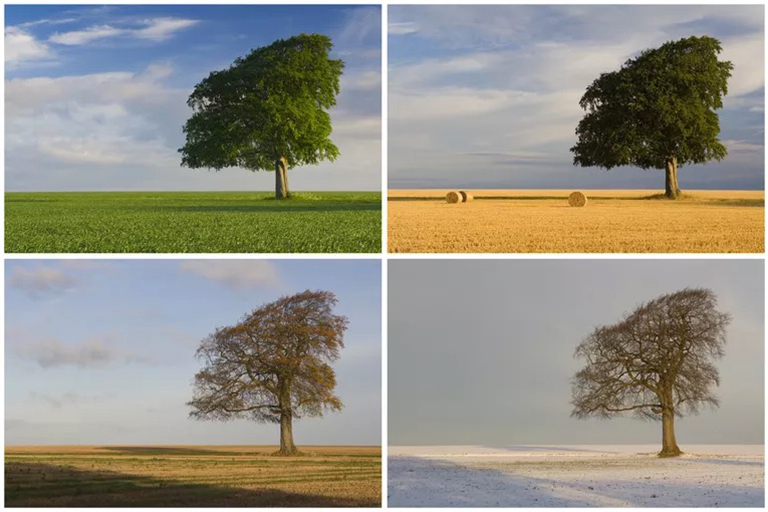 季節性-考古學家如何以及為什么研究季節變化的影響