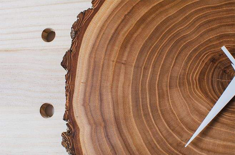 樹木年代學-年輪記錄氣候變化（二）