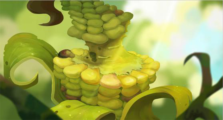 美國玉米的馴化史-玉米9,000年的植物馴化自由基實(shí)驗(yàn)