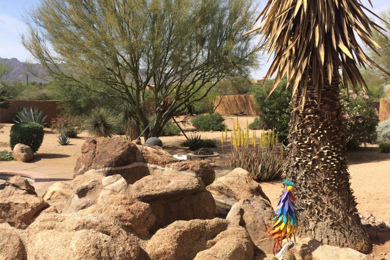 創建抗旱景觀第2部分：擺放合適的戶外用具