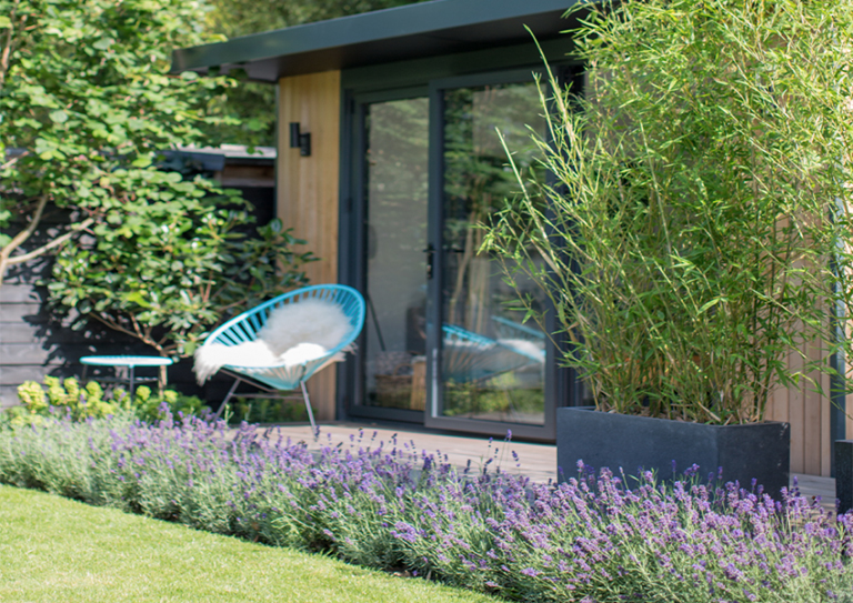 如何打造一個對野生動物友好的植物花園？