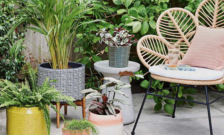 11個(gè)植物花園項(xiàng)目—從種植到繪畫讓植物花園重獲新生（上）