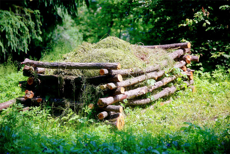 如何制作堆肥來免費喂養你的植物花園（下）