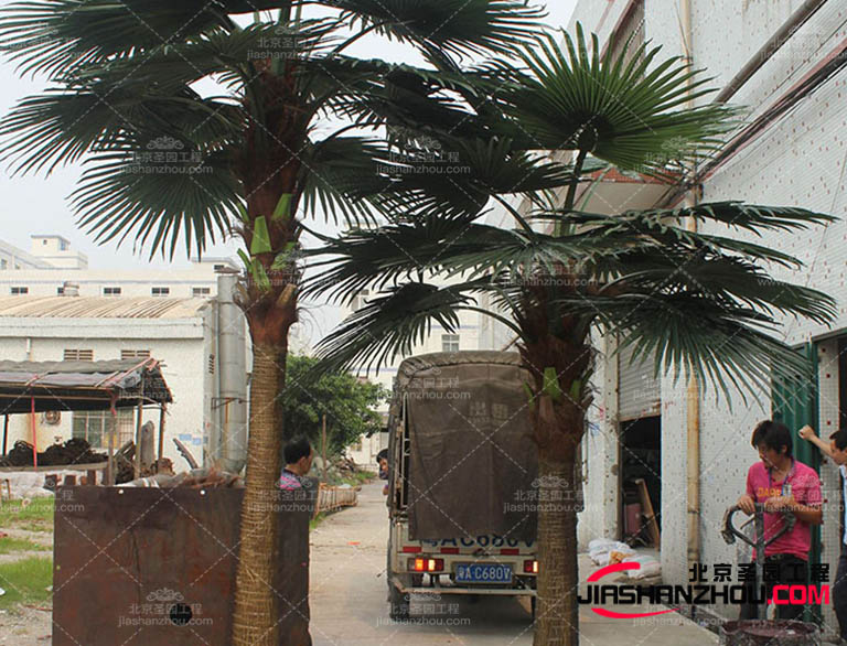 成都仿真樹廠家支持按需定制 歡迎致電仿真樹獲取多優(yōu)惠