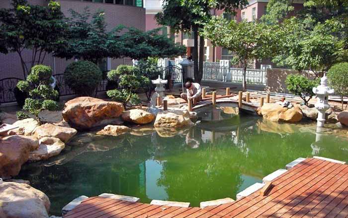 仿真假山水池.jpg 仿真假山水池