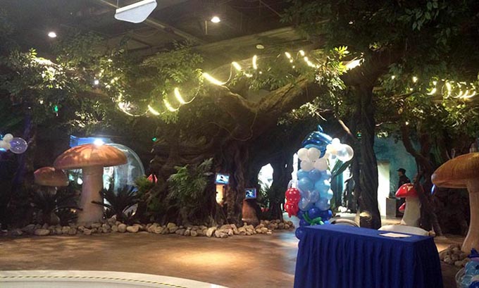 1494579694630774.jpg 仿真榕樹(shù).jpg