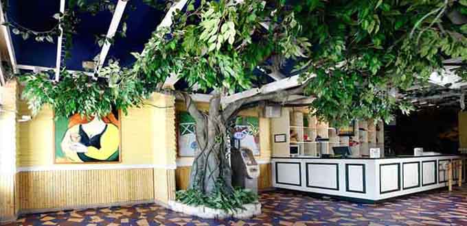 1494579708363954.jpg 仿真榕樹(shù)1.jpg