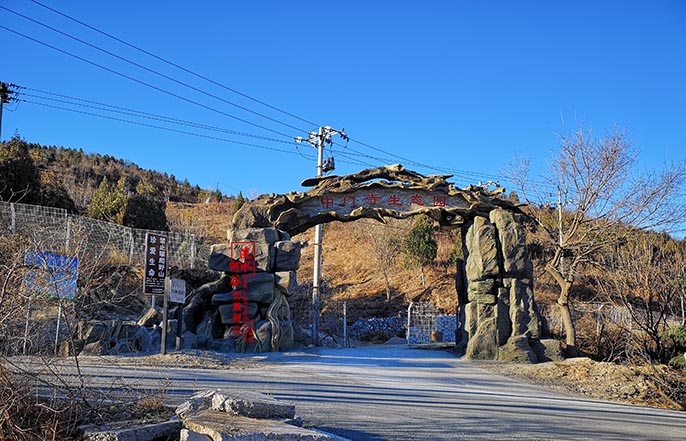 仿真樹大門.jpg 仿真樹大門