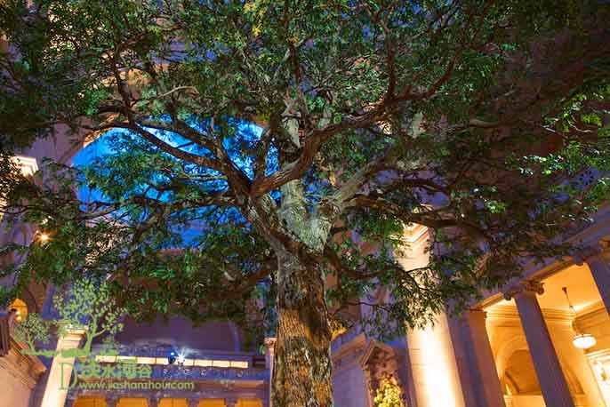 大型仿真樹.jpg 大型仿真樹