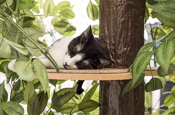 仿真樹.jpeg 仿真樹