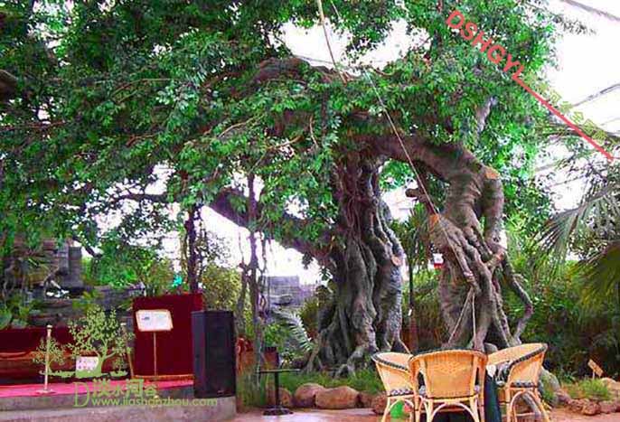 仿真樹.jpg 仿真樹