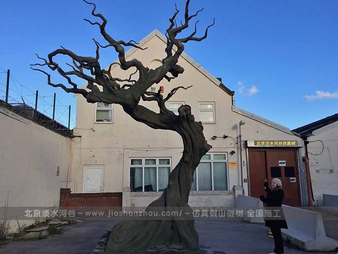 仿真樹.jpg 仿真樹