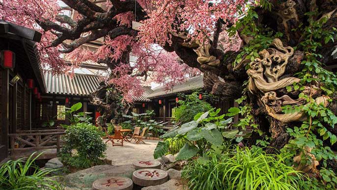 仿真臘梅樹(shù).jpeg 仿真臘梅樹(shù)