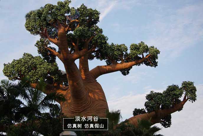 仿真猴面包樹.jpg 真猴面包樹