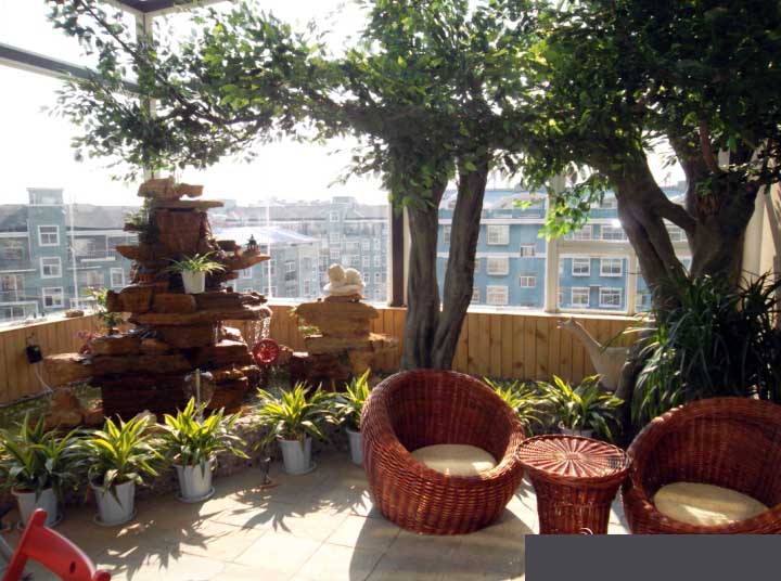 陽臺仿真樹.jpg 陽臺仿真樹