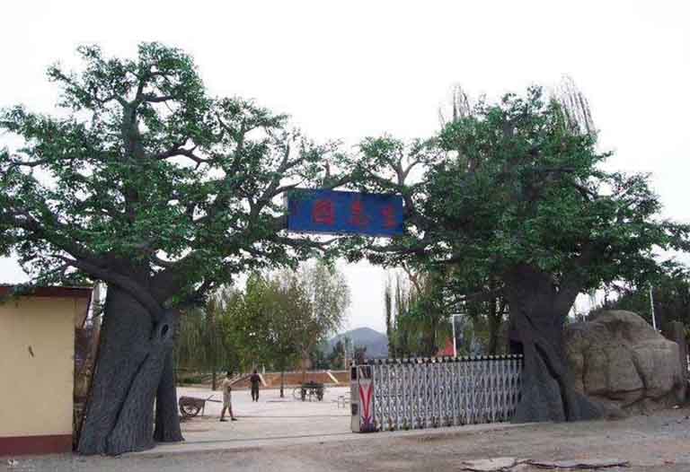 仿真樹大門.jpeg 仿真樹大門