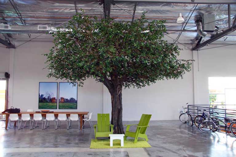 北京塑樹廠家.jpg 北京塑樹廠家