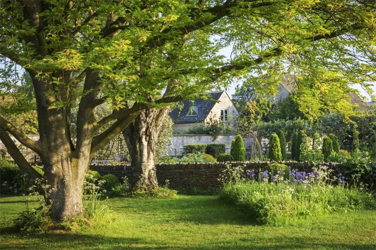 仿真樹(shù).jpg 仿真樹(shù)