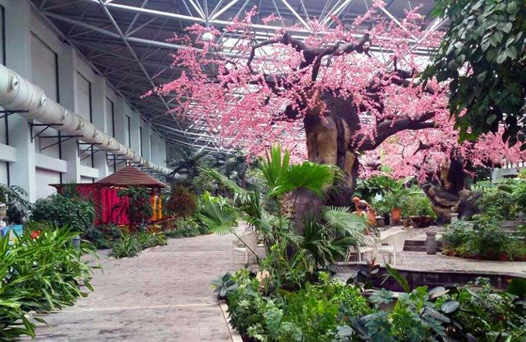 仿真樹.jpeg 仿真樹