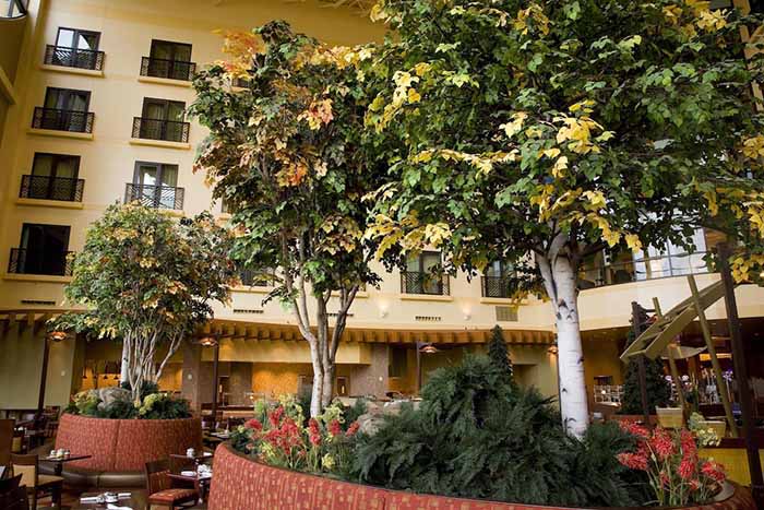 仿真樹水泥樹.jpg 仿真樹水泥樹