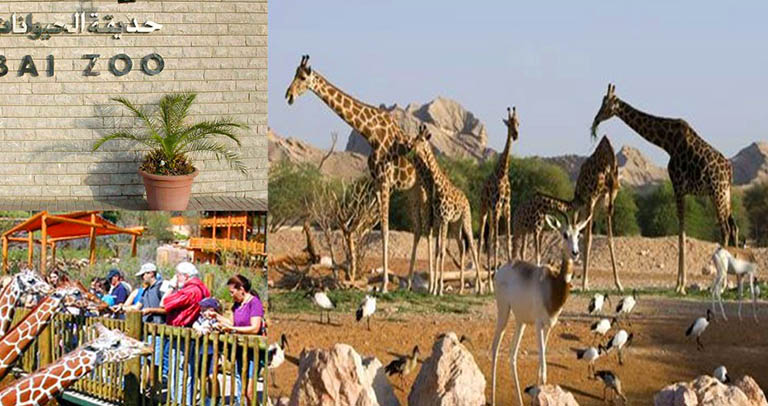 塑石假山.jpg 塑石假山