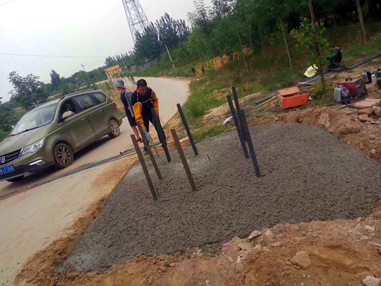 仿真樹(shù).jpg 仿真樹(shù)