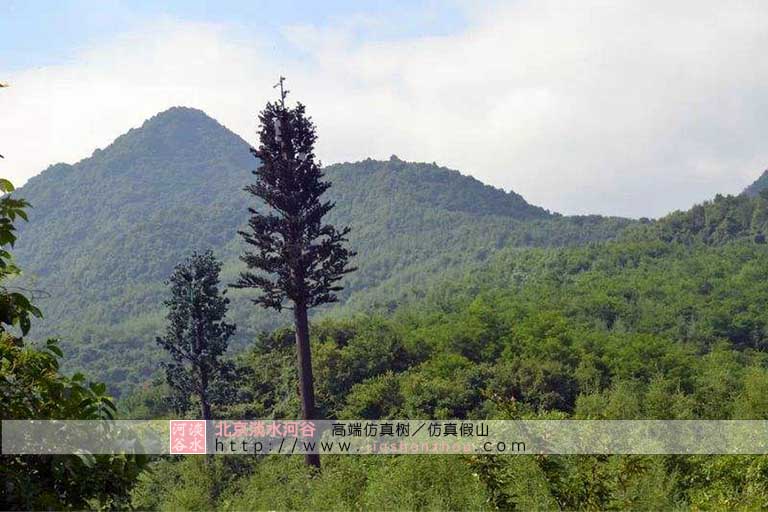 仿真樹電線桿.jpeg 仿真樹電線桿