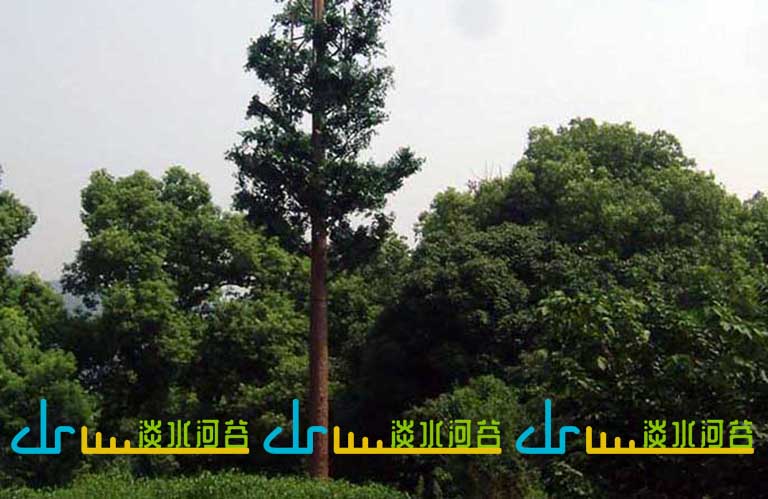 仿真樹電線桿.jpg 仿真樹電線桿