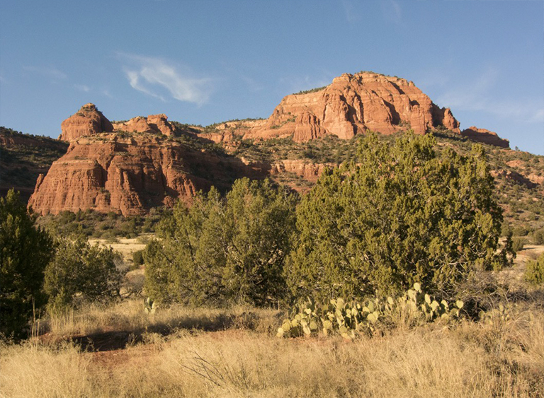 可可諾國家森林在亞利桑那州.jpg 可可諾國家森林在亞利桑那州