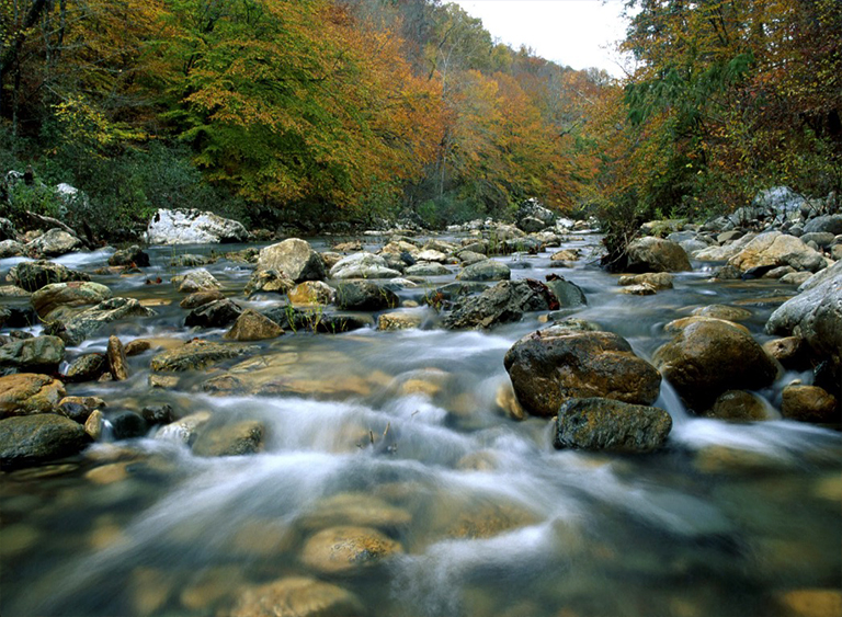 瓦希塔國家森林公園在阿肯色州.jpg 瓦希塔國家森林公園在阿肯色州