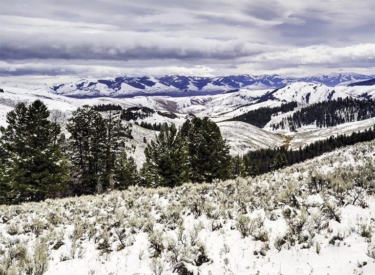 愛達(dá)荷州鮭魚Challis國(guó)家森林.jpg 愛達(dá)荷州鮭魚Challis國(guó)家森林