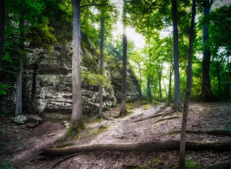 肖尼國(guó)家森林公園在伊利諾伊州.jpg 肖尼國(guó)家森林公園在伊利諾伊州