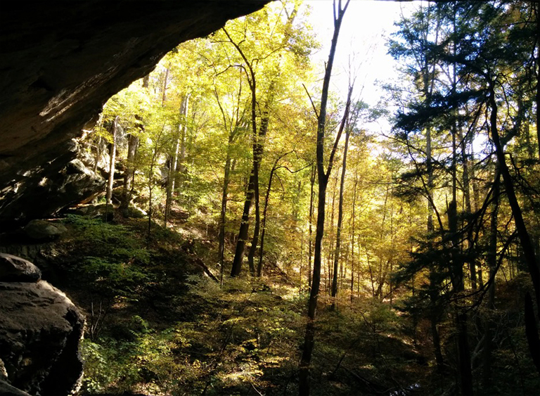 印第安納州的印第安納州國(guó)家森林公園.jpg 印第安納州的印第安納州國(guó)家森林公園