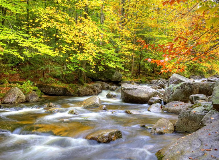 懷特山國(guó)家森林公園在緬因州.jpg 懷特山國(guó)家森林公園在緬因州