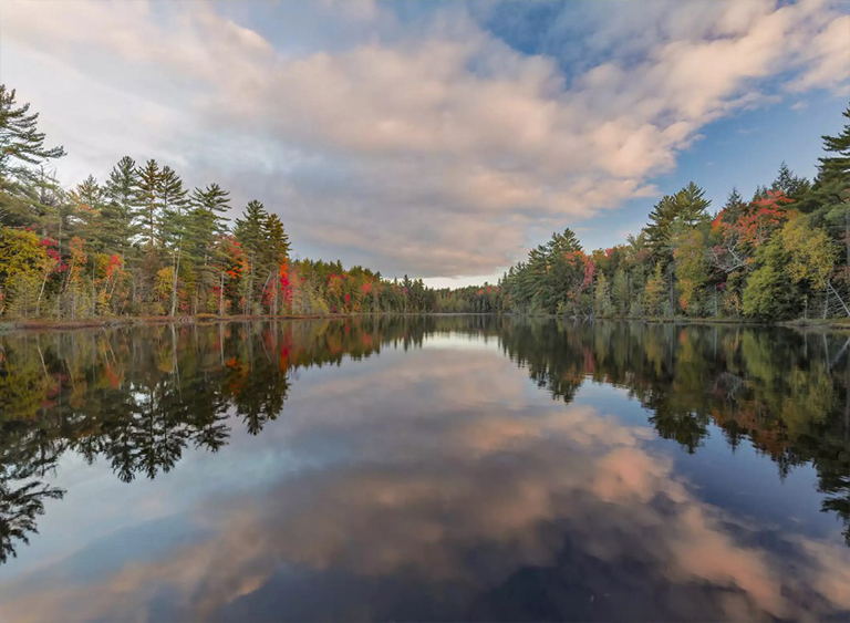 國(guó)家森林公園在密歇根州.jpg 國(guó)家森林公園在密歇根州