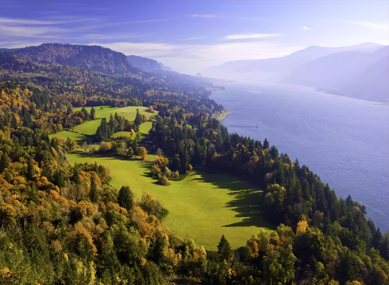 仿真樹.jpg 仿真樹