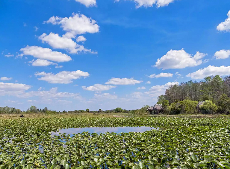 熱帶稀樹草原.jpg 熱帶稀樹草原