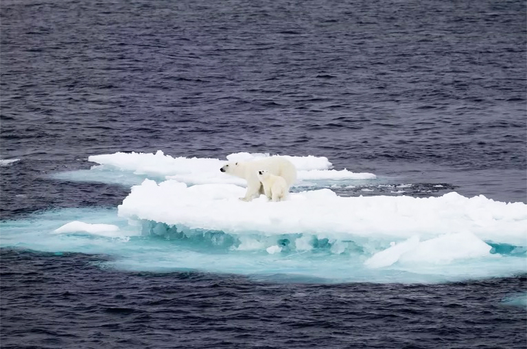 全球變暖.jpg 全球變暖