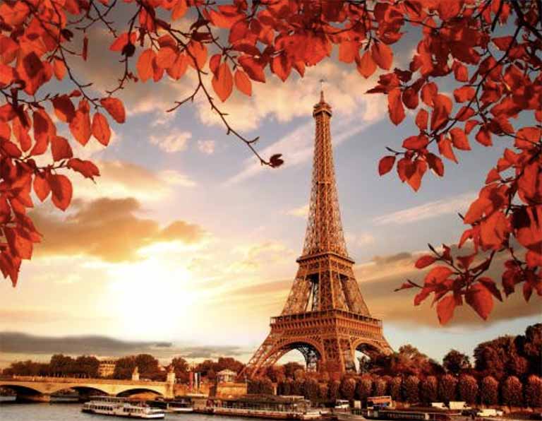 1585643618657874.jpg rety.jpg