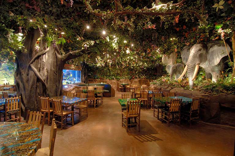 1585643780484736.jpg rainforestcafe11 (2).jpg