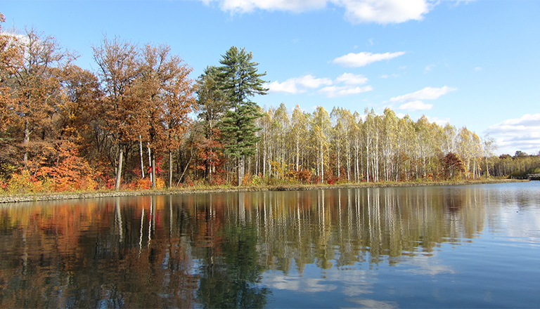 森林蒸騰與水循環.jpg 森林蒸騰與水循環