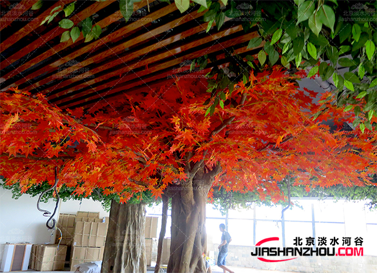 仿真樹.jpg 仿真樹