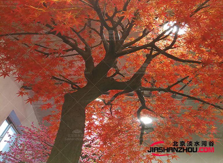 仿真樹.jpg 仿真樹