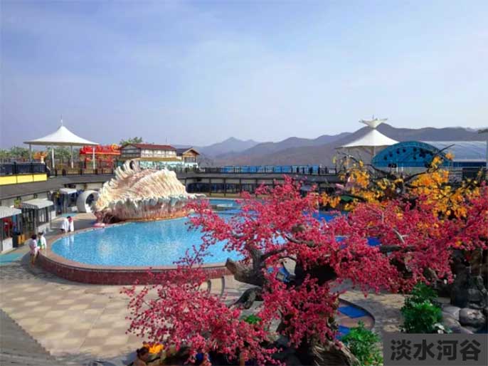 tcp假樹考察.jpg tcp假樹考察