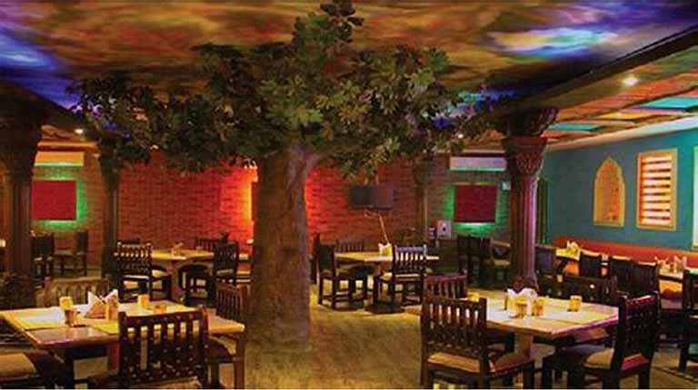 咖啡館假樹.jpeg 咖啡館假樹