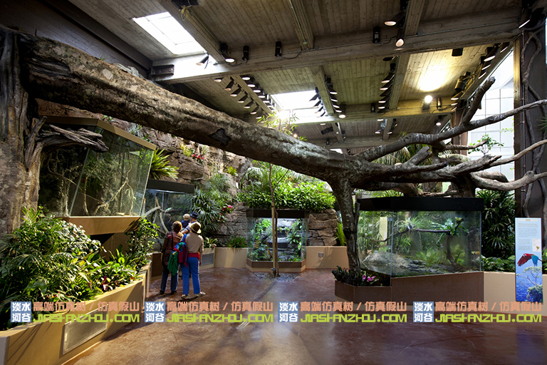 酒店假樹.jpg 酒店假樹