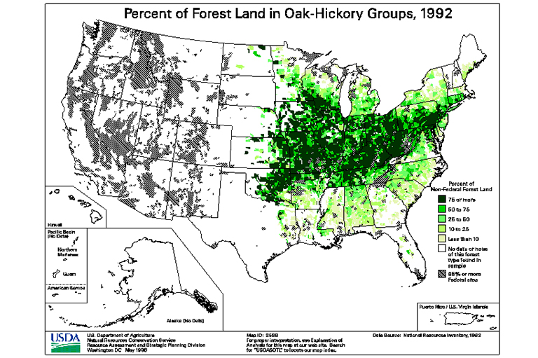 橡樹山核桃型地圖.jpg 橡樹山核桃型地圖