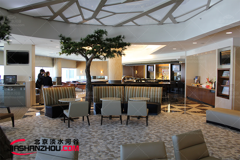 仿真樹.jpg 仿真樹