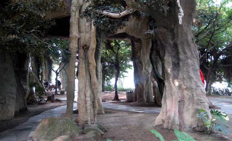 室外假樹(shù).jpg 室外假樹(shù)